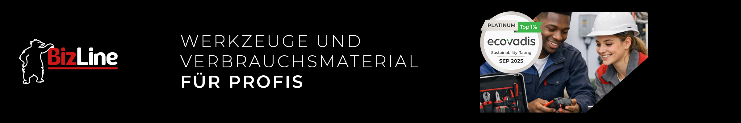 BizLine entdecken
